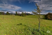Jaro nad Brannou